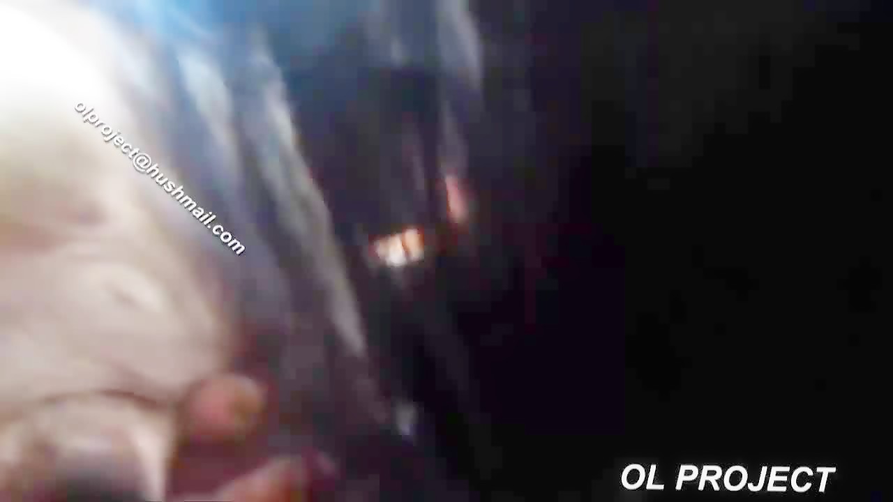 Danna 4 Sale - Zoo Videos - Zookings