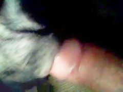 fucking dog pussy