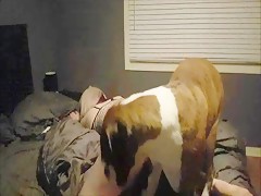 El perro en mi alcoba