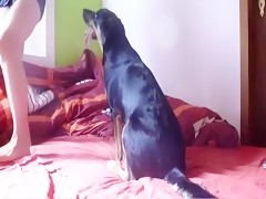 Mi chico con el perro