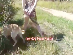 New Dog Russian Team