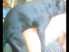 Veterana en la zoofilia