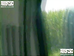 ArtofZoo Milly Iron Boar