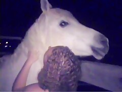 Caledonian - Nightrider