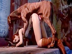 American Girl And Dog Sex Video Open - Animal sex - Animal - American girls fuck dog - Adult Script Pro