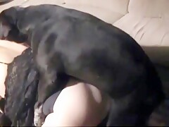 Caledonian Shawn Does the Double