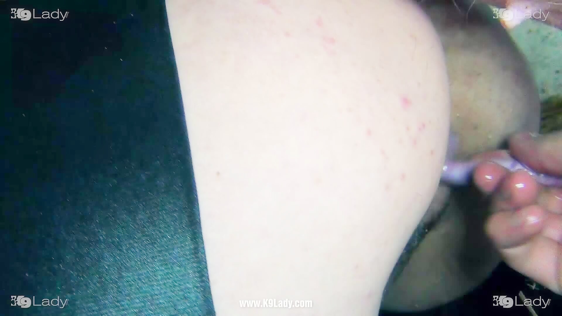 Ariel Chosen for tommy - Beast sex videos - Bestialitytaboo