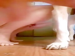 Enjoying sex with dog