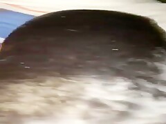 Sex with the neighbors dog