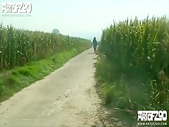 Iron Boar Milly Art of zoo