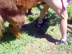 Ready to receive the horse cock