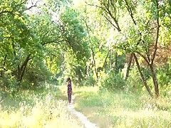 Un paseo por el bosque