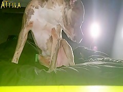 SLUTWIFE GANGBANGED BY RANDOM STRANGERS ON THE BEACH