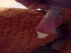 Condom with dogs cum