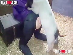 Trying out sex with the pig