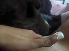 My dog lick my pussy before go to sleep