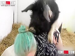 Follada en la cuadra del cerdo