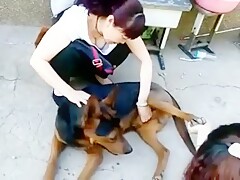 Chinese masturbate dog