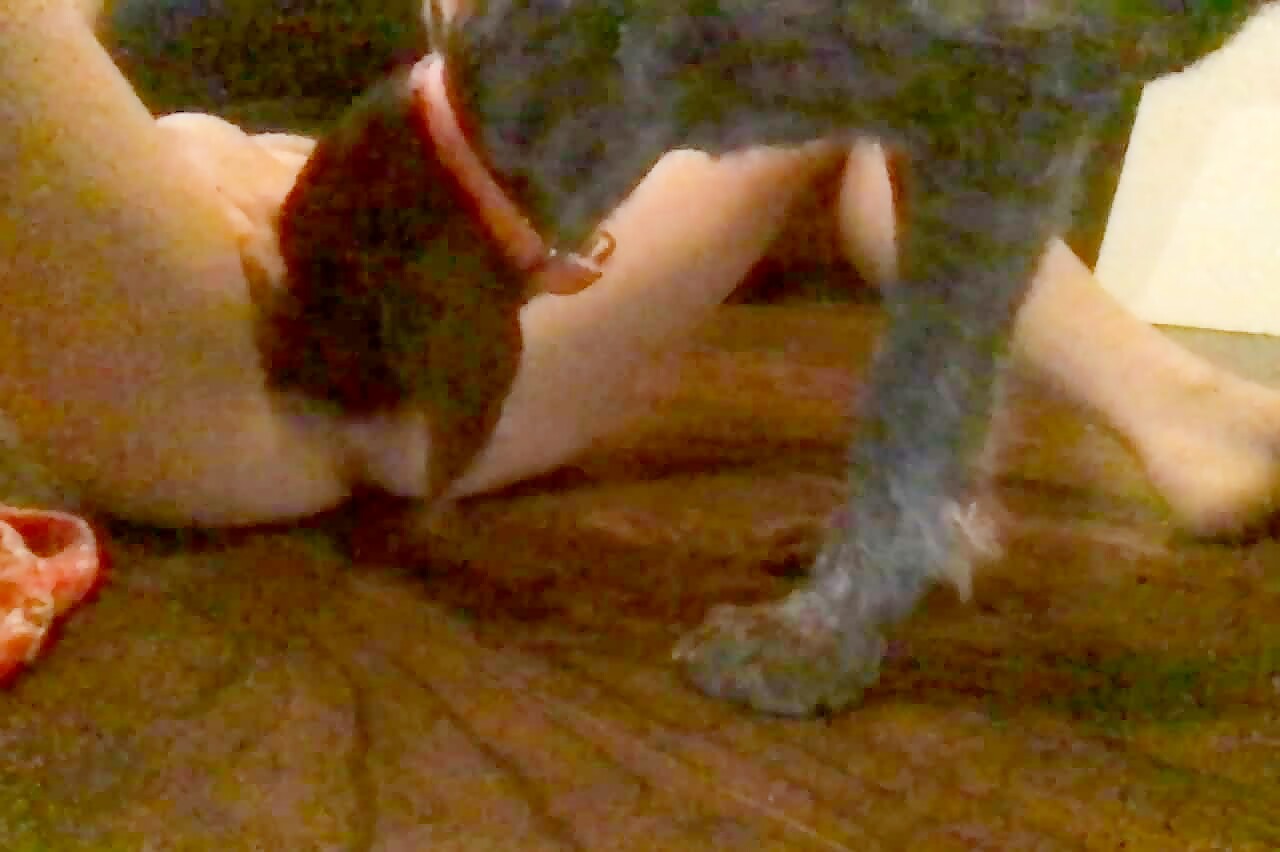 Teen bends over and lets family dog lick her - ZootubeNet.com