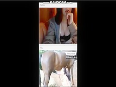 teen watching zoo porn