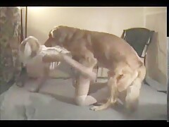 Dog fuck