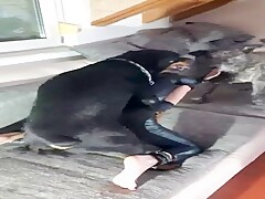 PORTAL ZOO GROUP - Link in description !