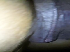 view clitoris closeup mare spread_vagina