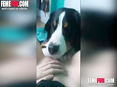 Teen pussy licked POV