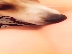 18 years old teen get licked by her dog