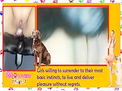 Dog Lovers Manual - English