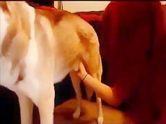 The girl is training her dog