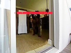 Chained and fucked hard by dog