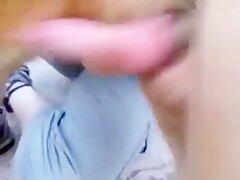 Chupada Sensual  da Novinha