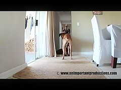 Sultry blonde in slutty bodysuit fucking her own dog