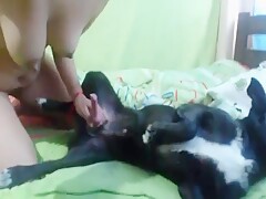 Vagabunda mamando a rola com vontade