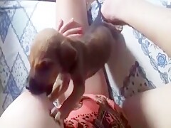 Woman Breastfeeding a Puppy 4